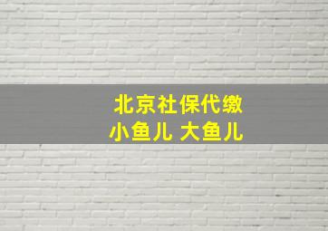 北京社保代缴小鱼儿 大鱼儿